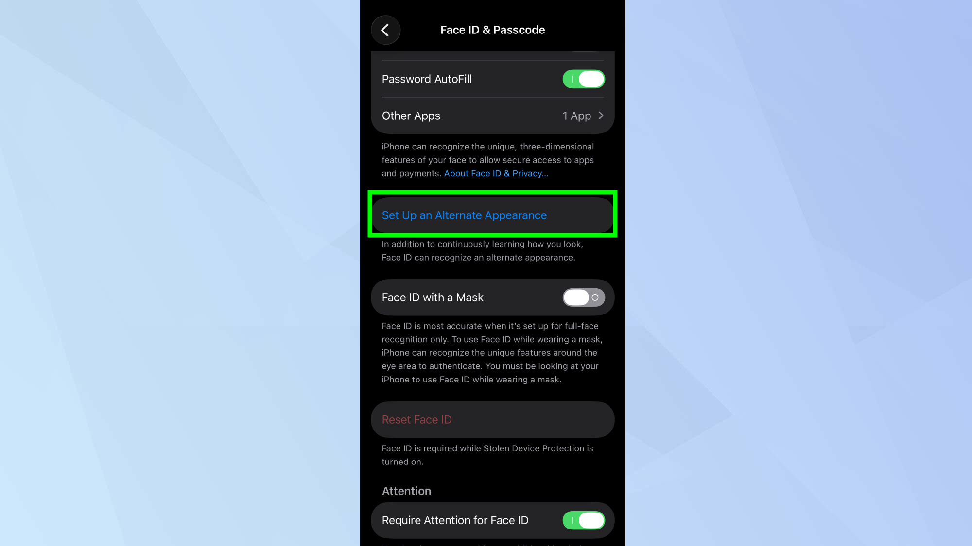 Set Up an Alternative Appearance option highlighted in iPhone Settings