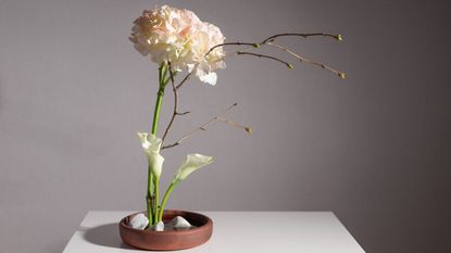 A Ikeaba flower arrangement with large white flowers