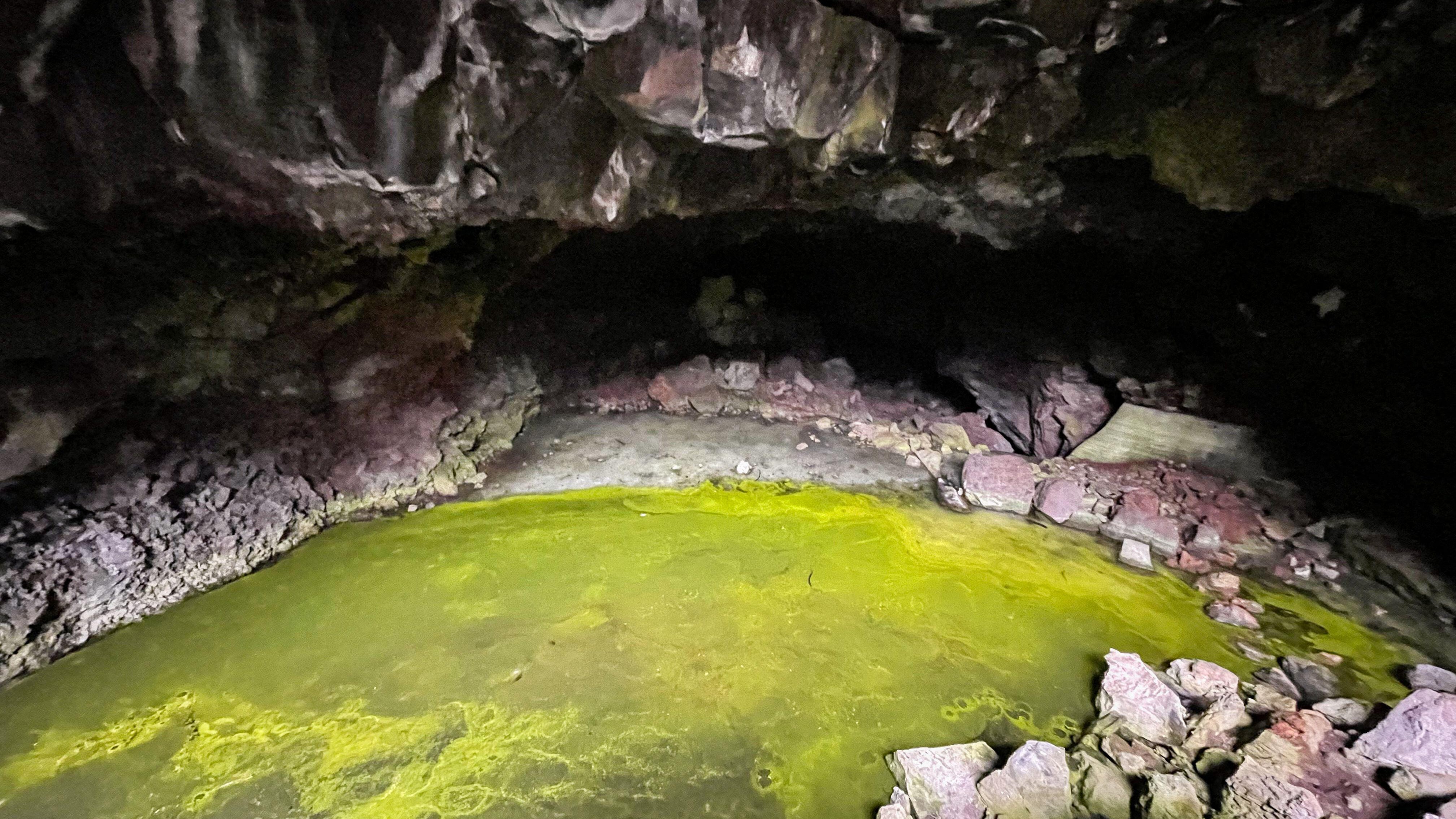 Interior of the Bandera Volcano Ice Cave in New Mexico. The cave's floor is covered in ice which itself is covered in a carpet of algae.