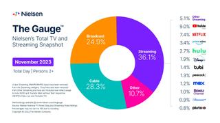 Nielsen's The Gauge chart of tv viewing in November 2023