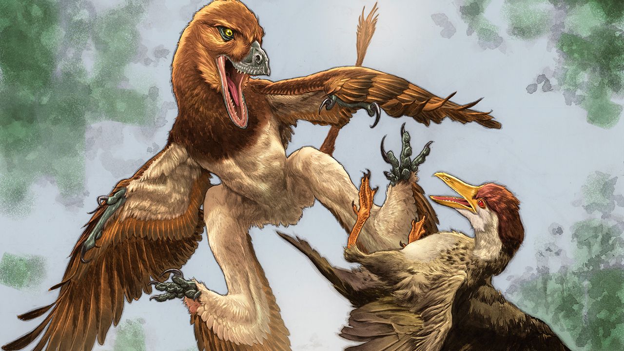  New Velociraptor cousin was a '4-winged' dragon that hunted prey from the trees of ancient China, fossil find hints 