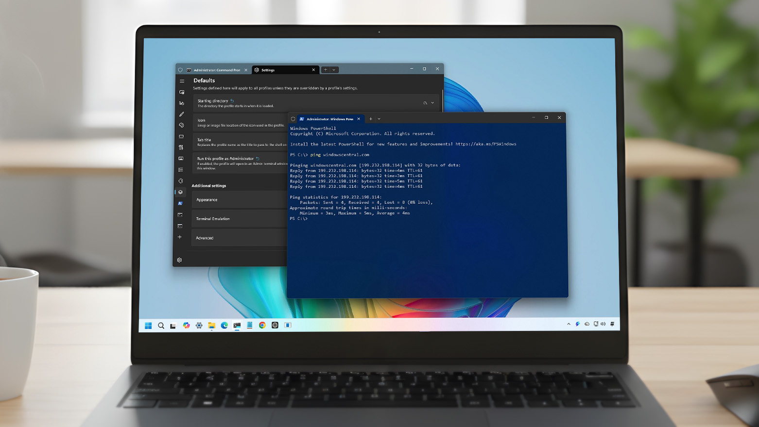 Terminal with custom settings