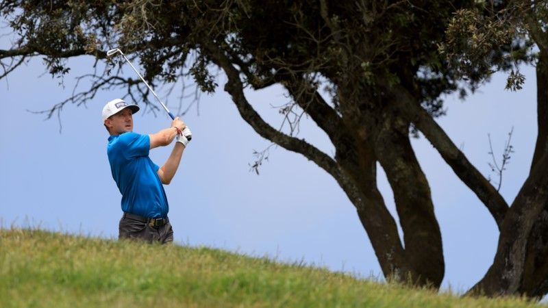 Mackenzie Hughes Ball In Tree