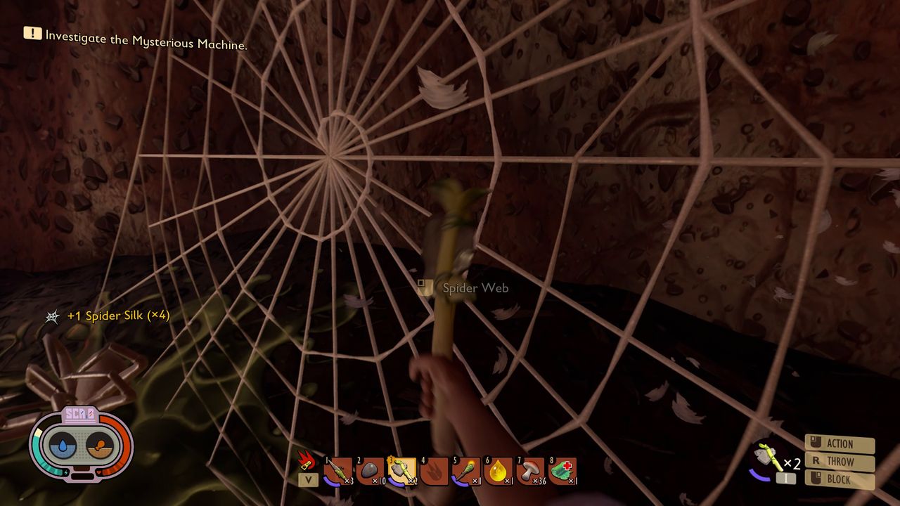 Grounded Axe Spider Silk