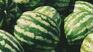 fodmap-diet-watermelon