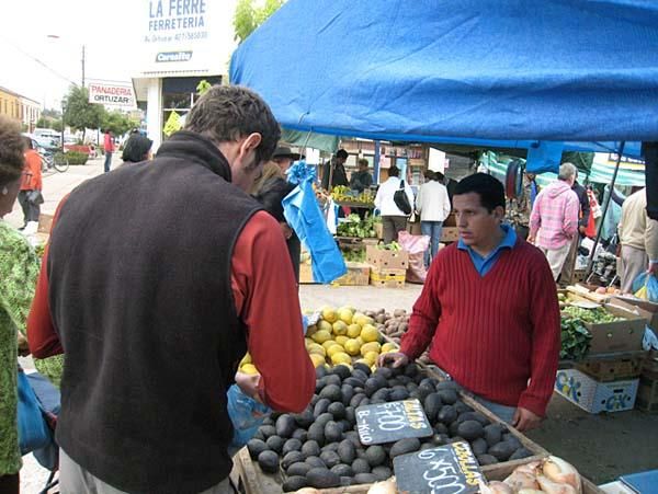 A farmer's market in Chile