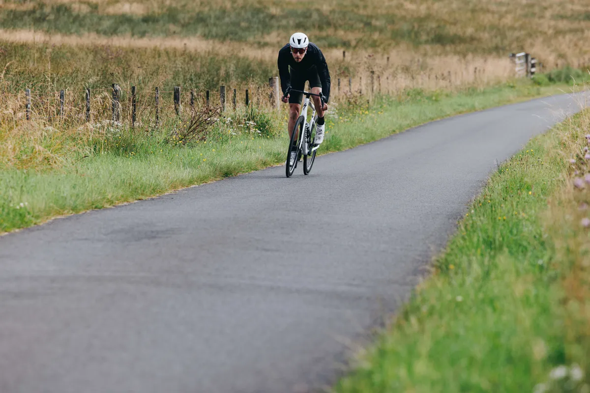 Specialized Tarmac SL8 Comp 42