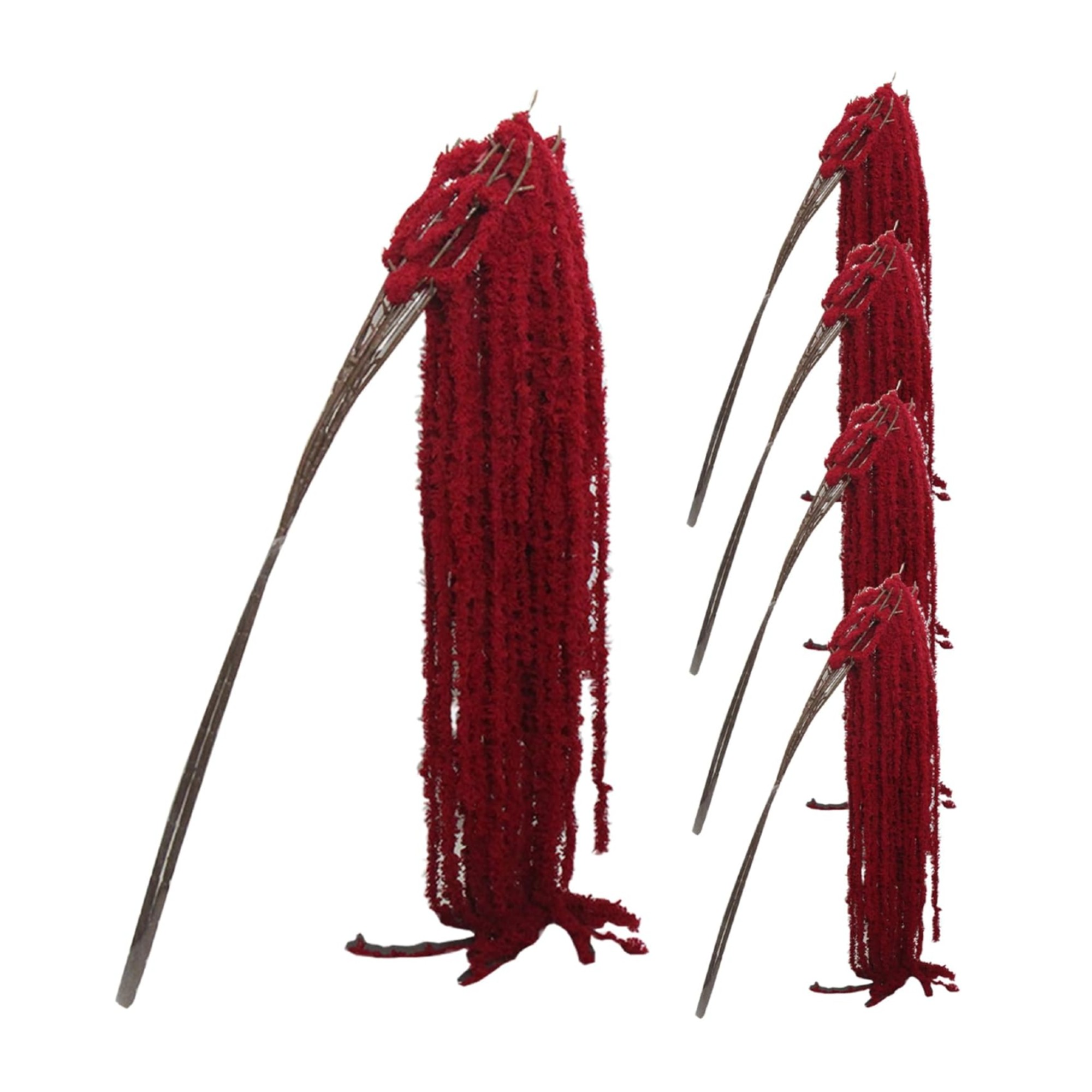 5PCS Dried Amaranthus Hanging Flowers