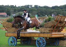 HorsewareHaleBob_AachenEuros15PN_33507A.jpg