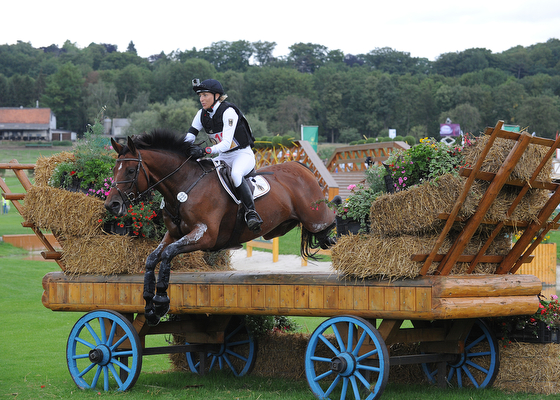 HorsewareHaleBob_AachenEuros15PN_33507A.jpg