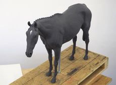 Denman-3.jpg