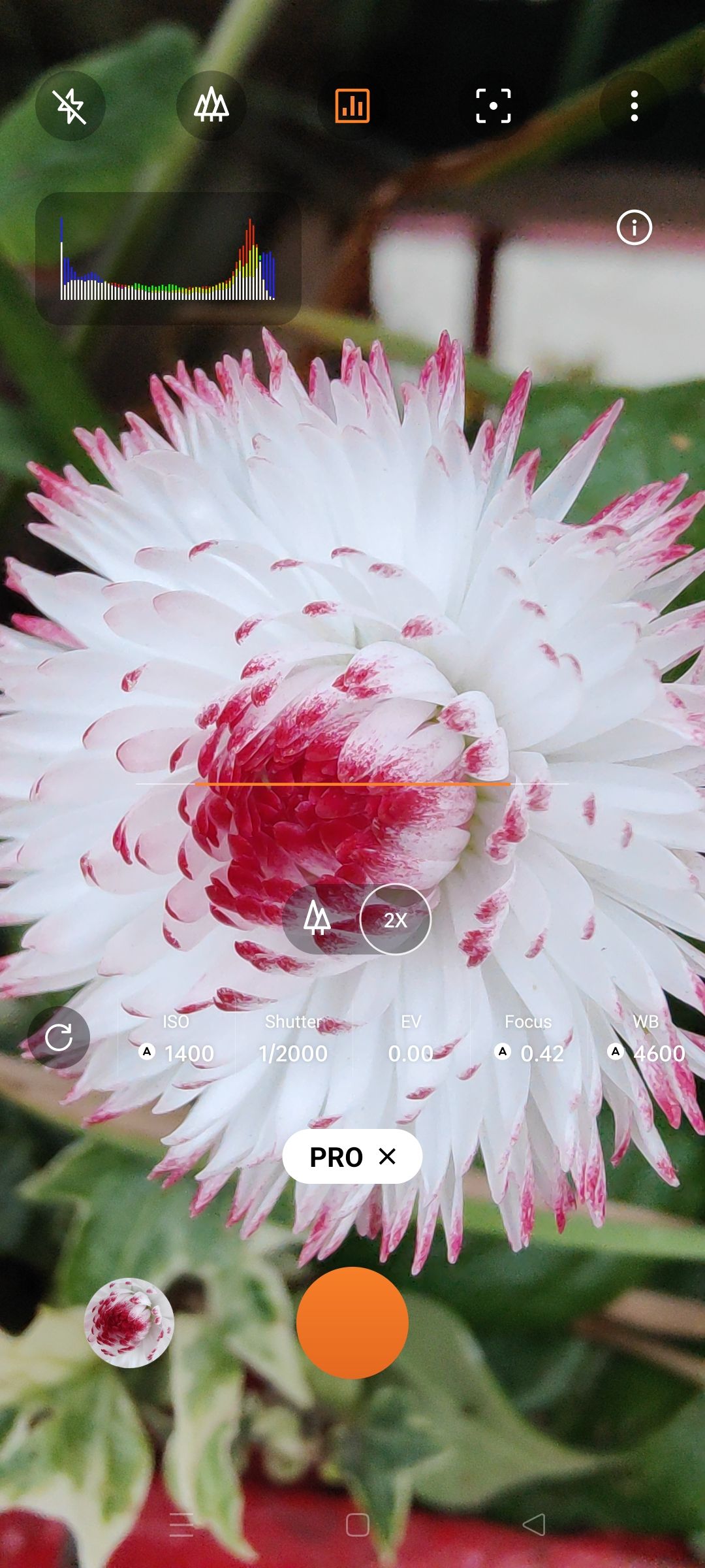 Oppo Find X5 Review
