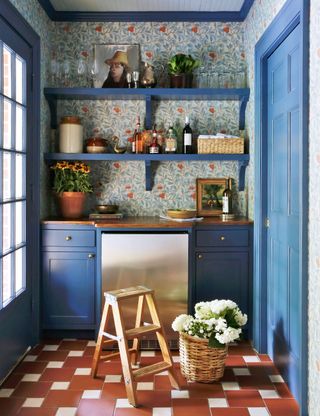 Pantry with worksurface and wallpaper being shelf
