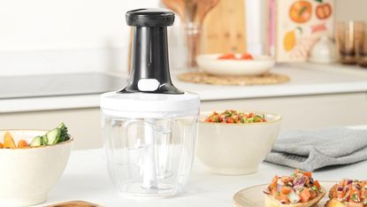 Salter Mini Chopper 