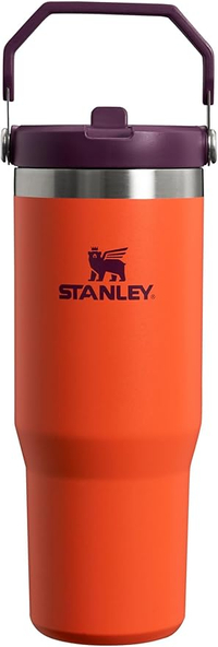 Stanley  IceFlow Flip Straw Tumbler (30 oz)
