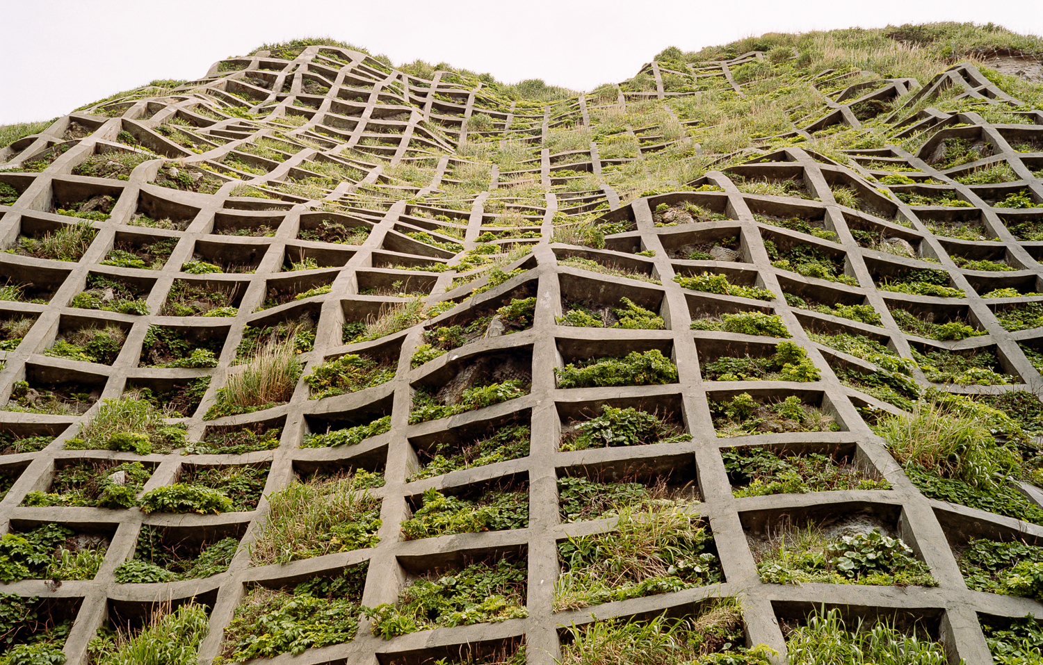 eco-brutalism Reinforced hillside, Aogashima, Tokyo