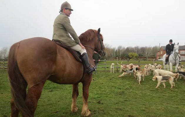 suffolkhunting11.jpg