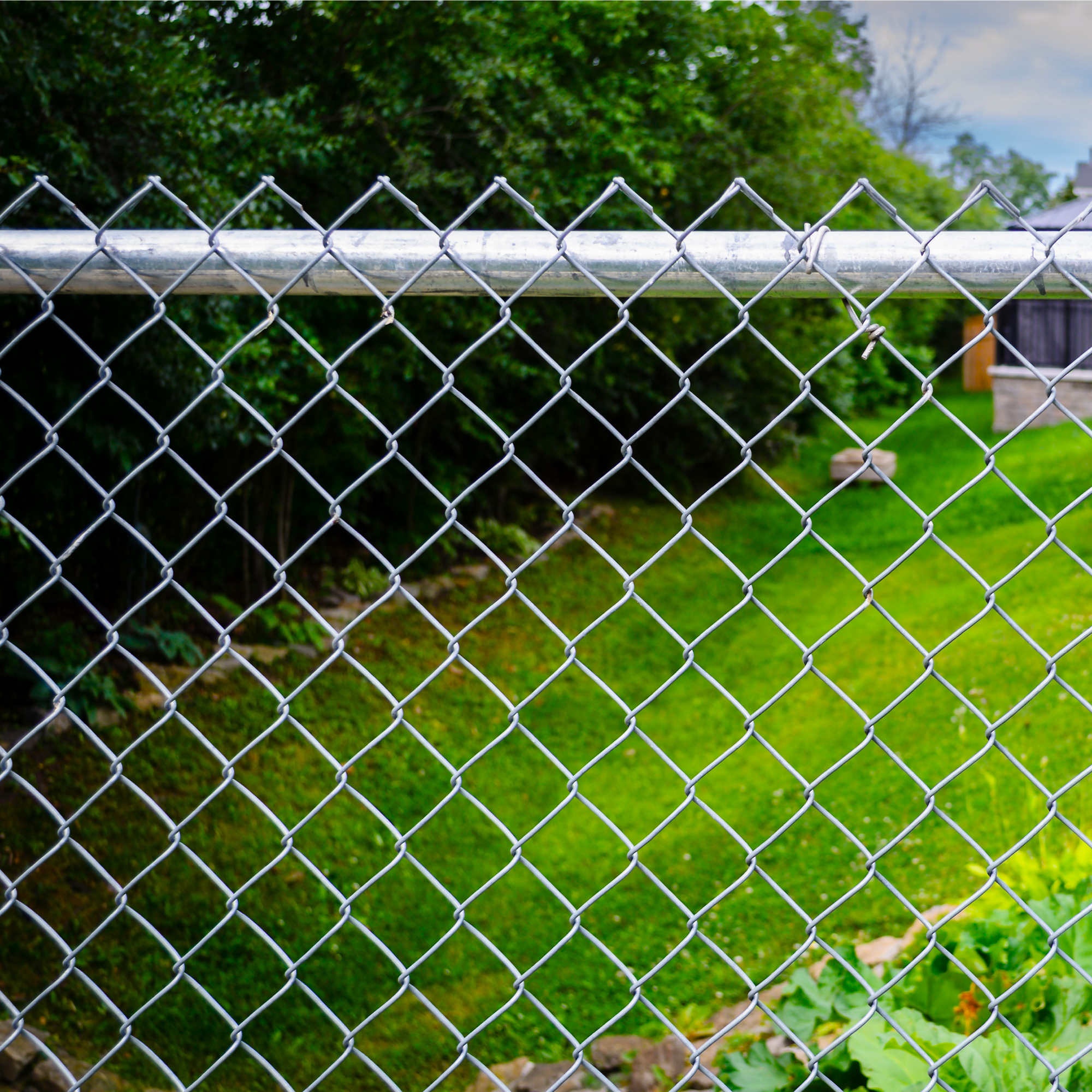 chainlink fence in backyard 