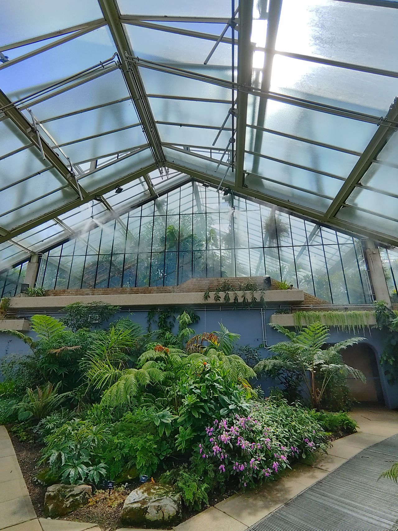Sample image taken at Kew Gardens using the Rokid AI Glasses Style