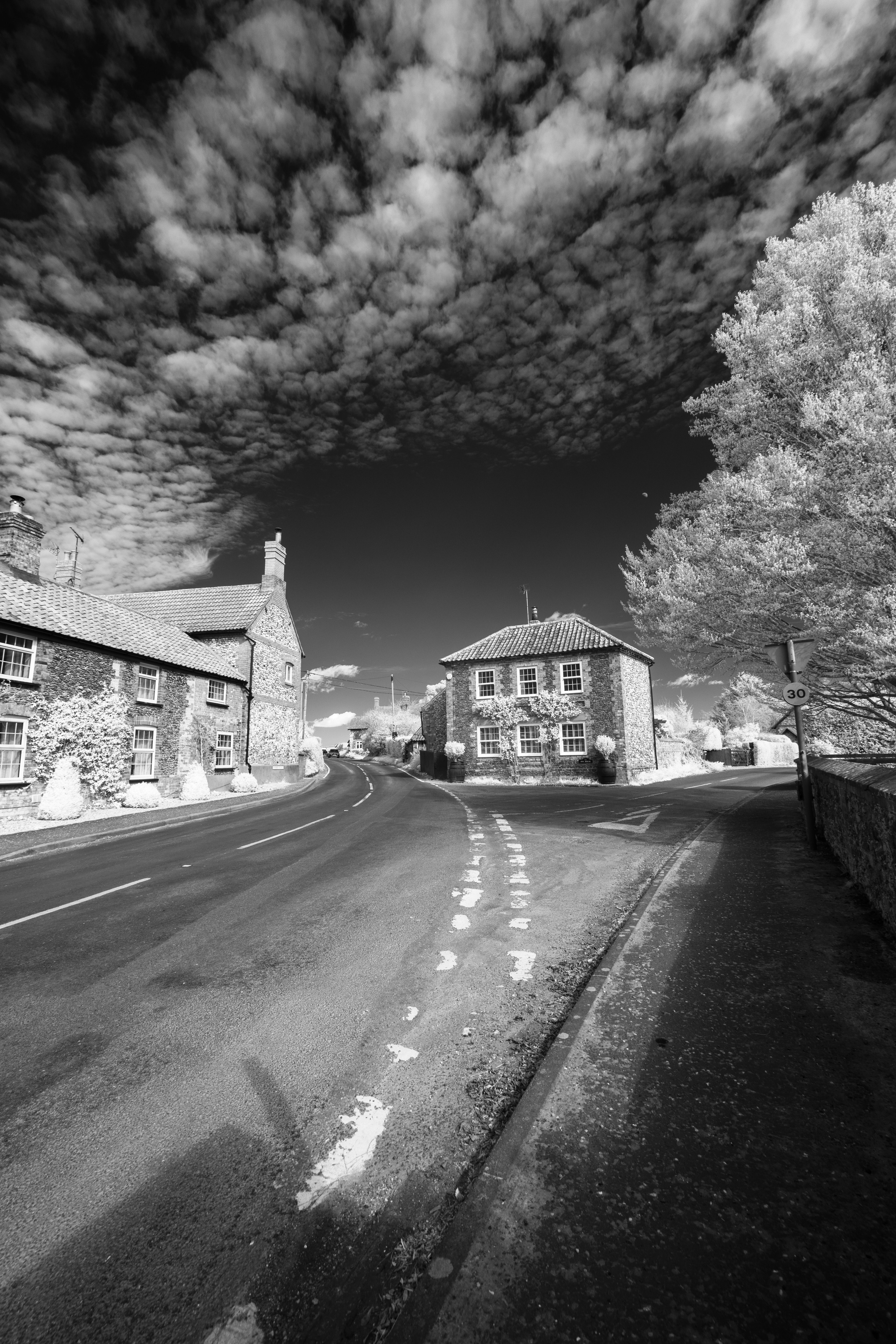 Hoya R72 Infrared Test Shot