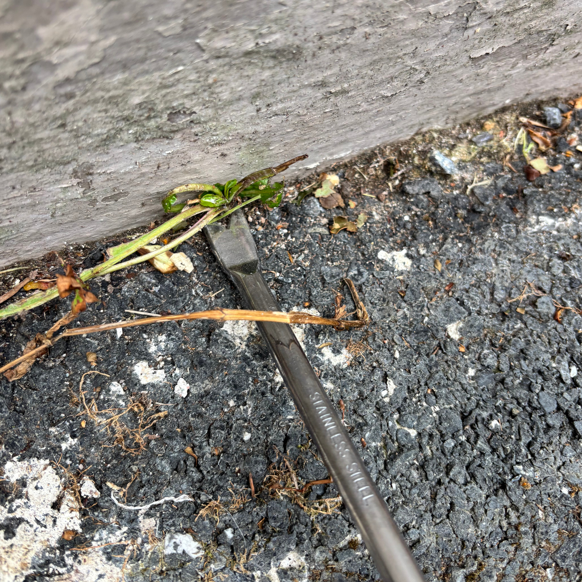 workpro weeding tool extracting a weed