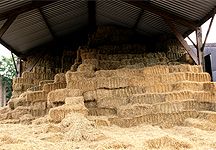 straw-barn-1.jpg