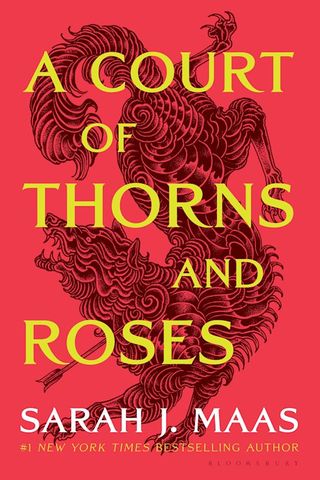 a court of thorns and roses book cover with a red background and a dragon in the backdrop