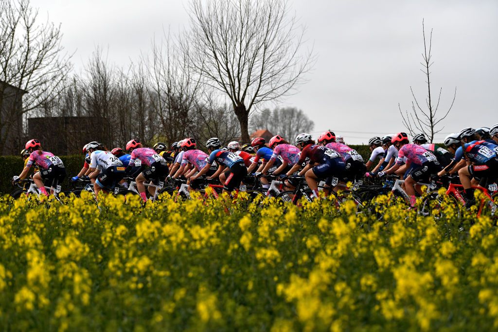 WEVELGEM BELGIUM MARCH 27 The peloton passing through flowery landscape during the 11th GentWevelgem In Flanders Fields 2022 Womens Elite a 159km one day race from Ypres to Wevelgem GWEwomen UCIWWT on March 27 2022 in Wevelgem Belgium Photo by Luc ClaessenGetty Images