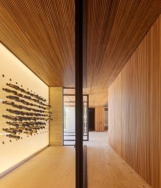 timber clad brazilian home interior