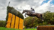Greenacres Special Cavalier Caroline POWELL (NZL)