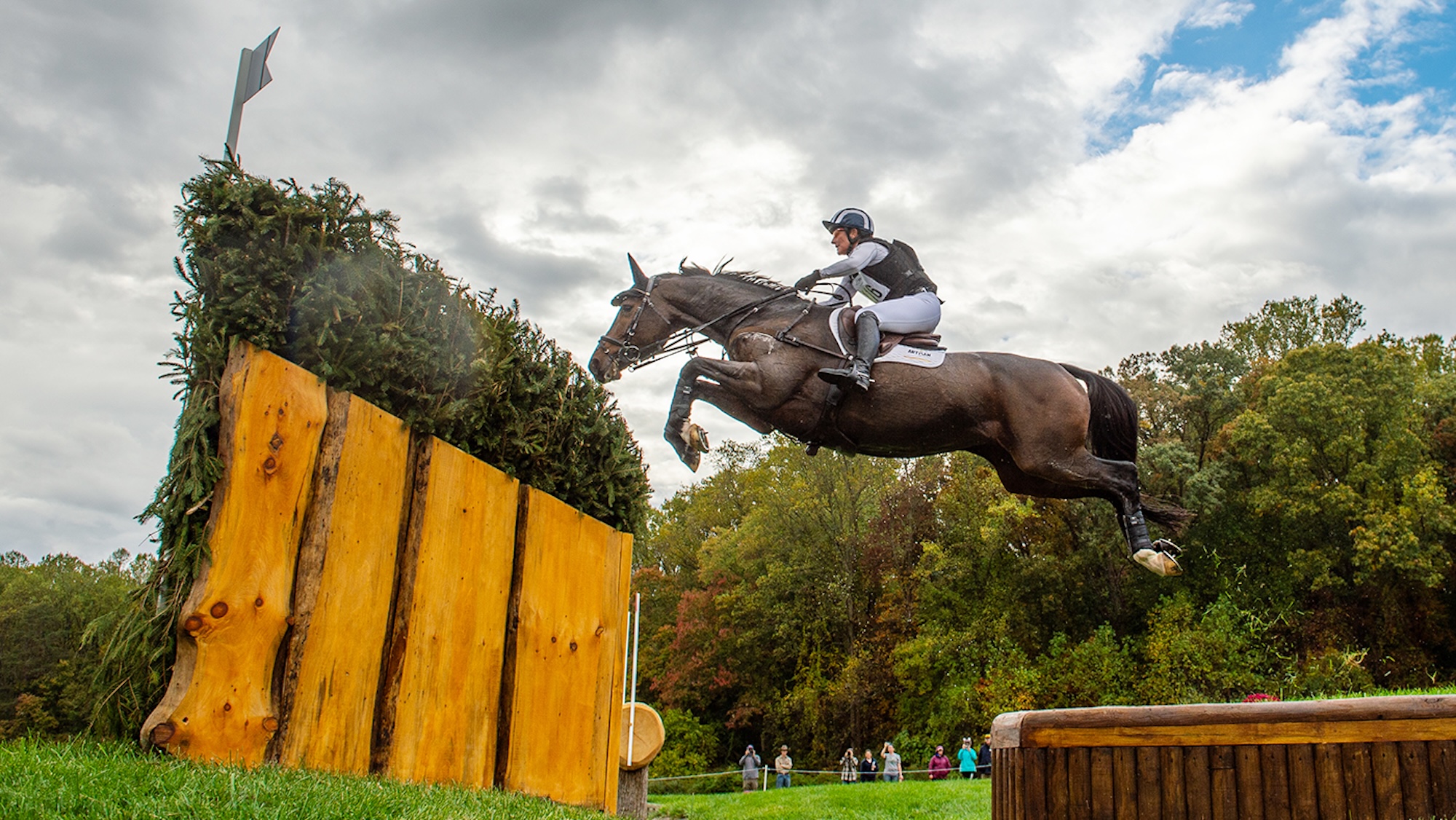 Greenacres Special Cavalier Caroline POWELL (NZL)
