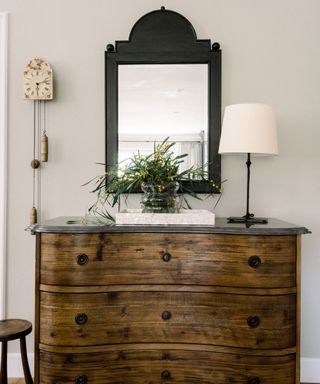 entryway with wooden dresser, white lamp, black mirror and foliage