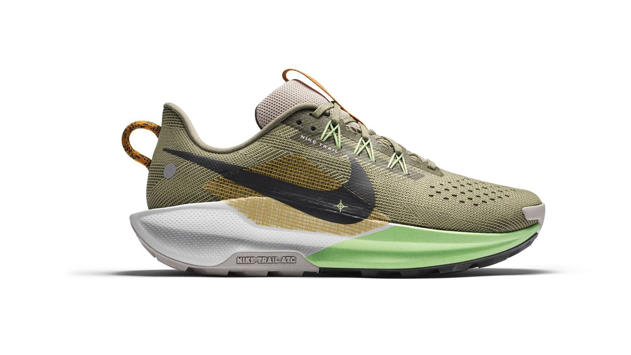 Nike Pegasus Trail 5