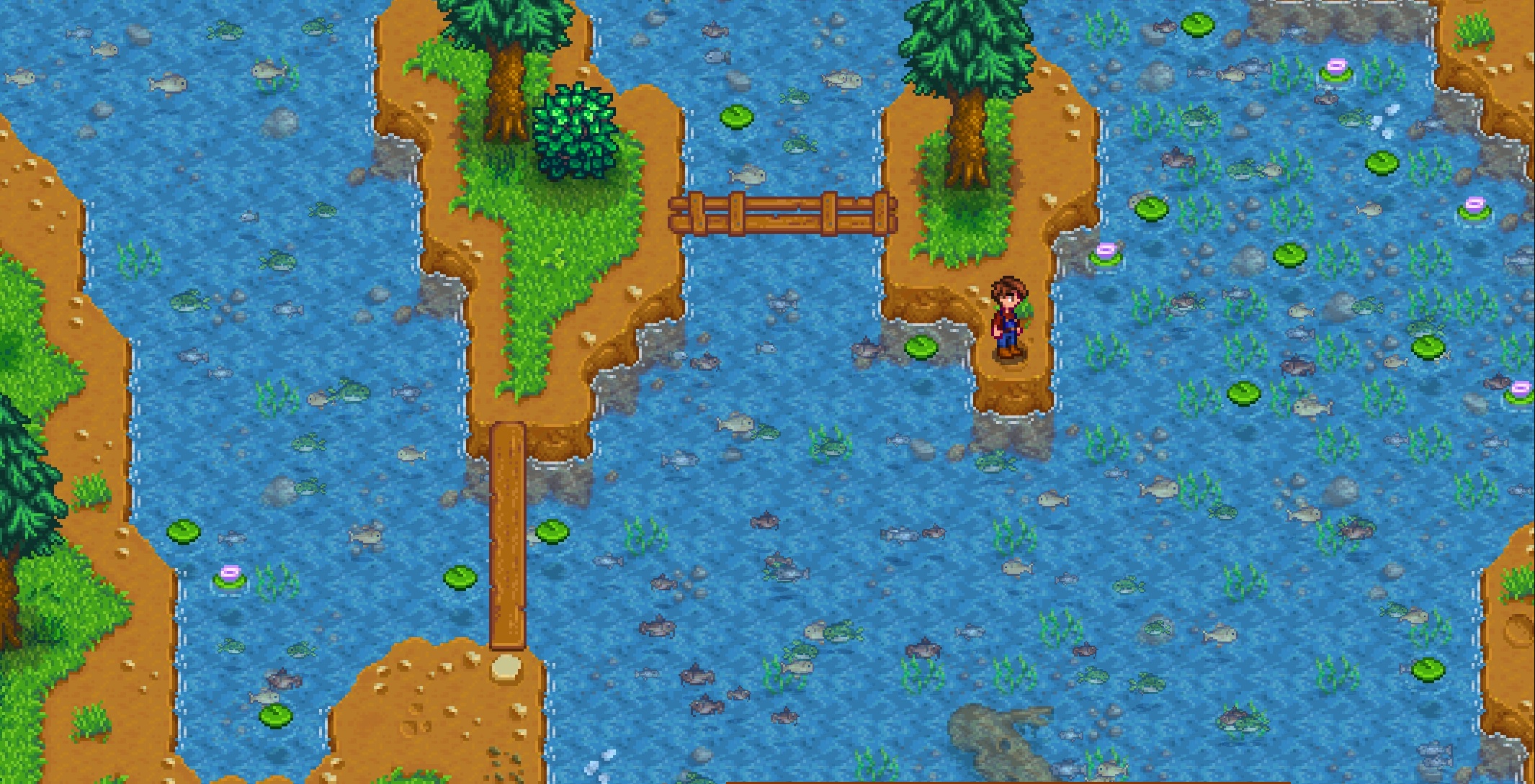 how to stardew valley fishing