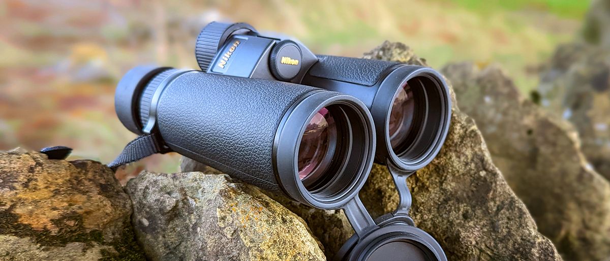 Nikon Monarch HG 10x42 Binoculars sitting on a stone wall in the countryside