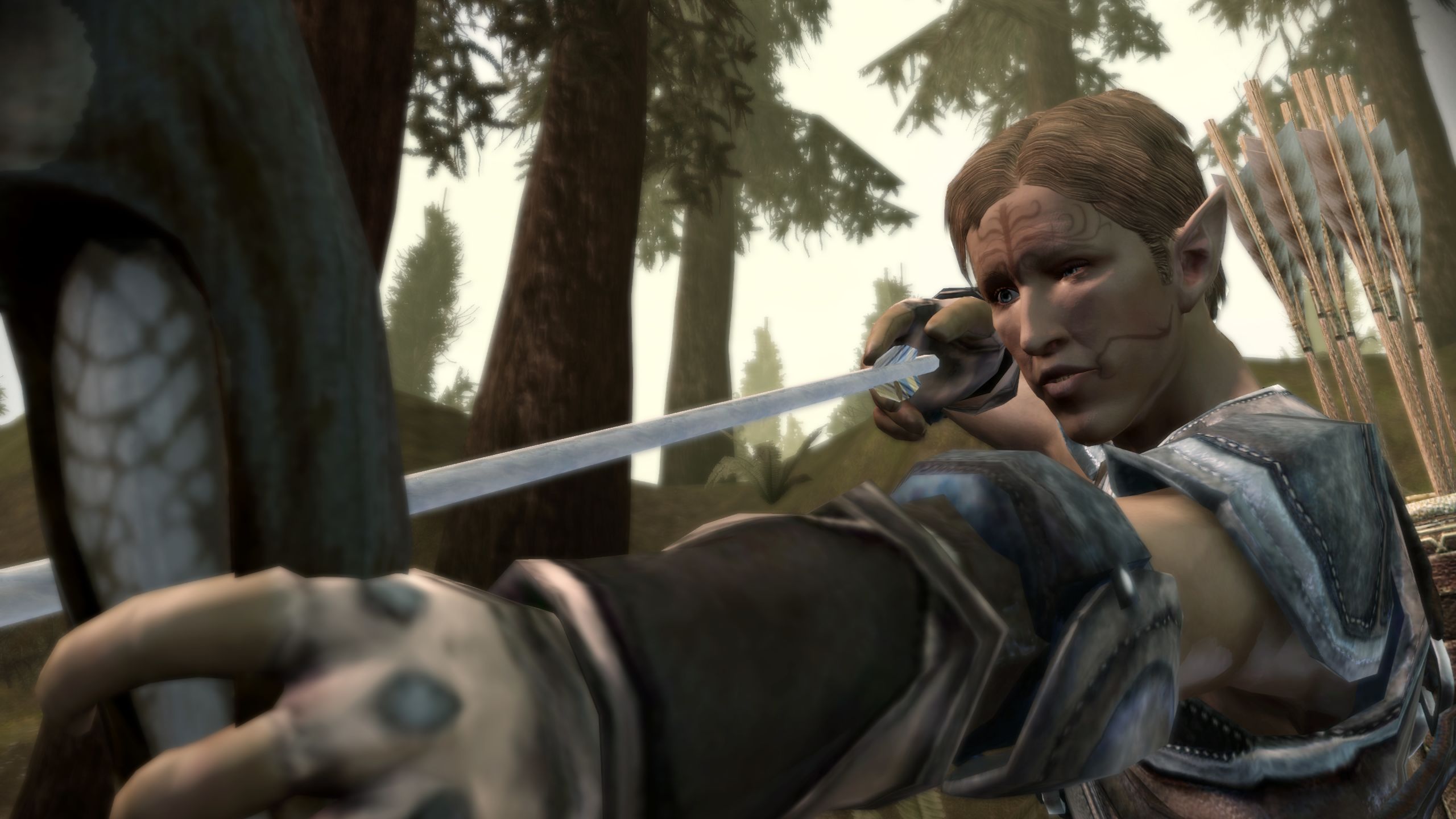 Every origin in Dragon Age: Origins, ranked