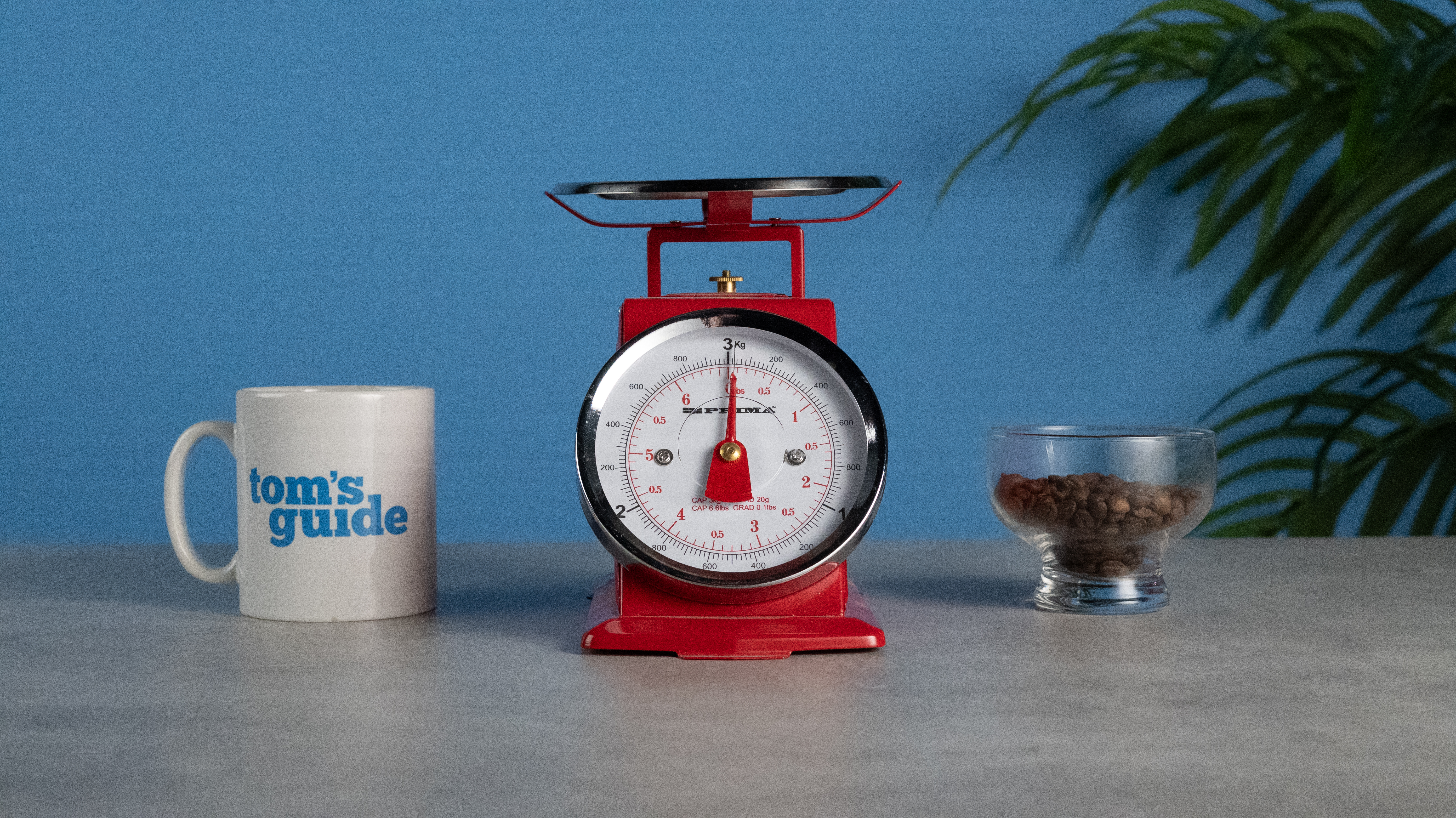 A set of red scales with a mug on the left and a glass of coffee beans on the right. Taken at ISO6400 on the Nikon Z50II.