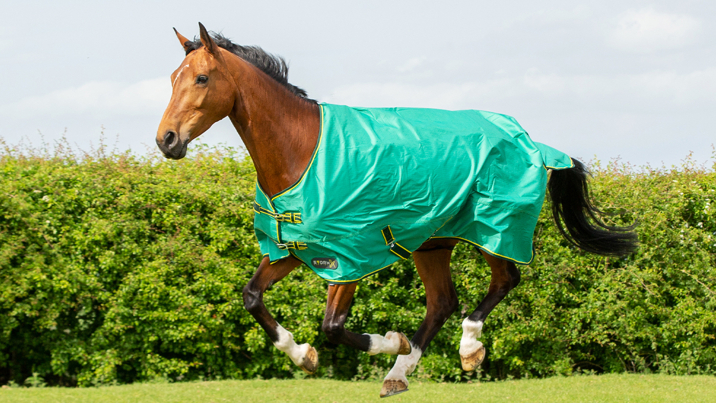 Hy StormX Original 0 Turnout Rug