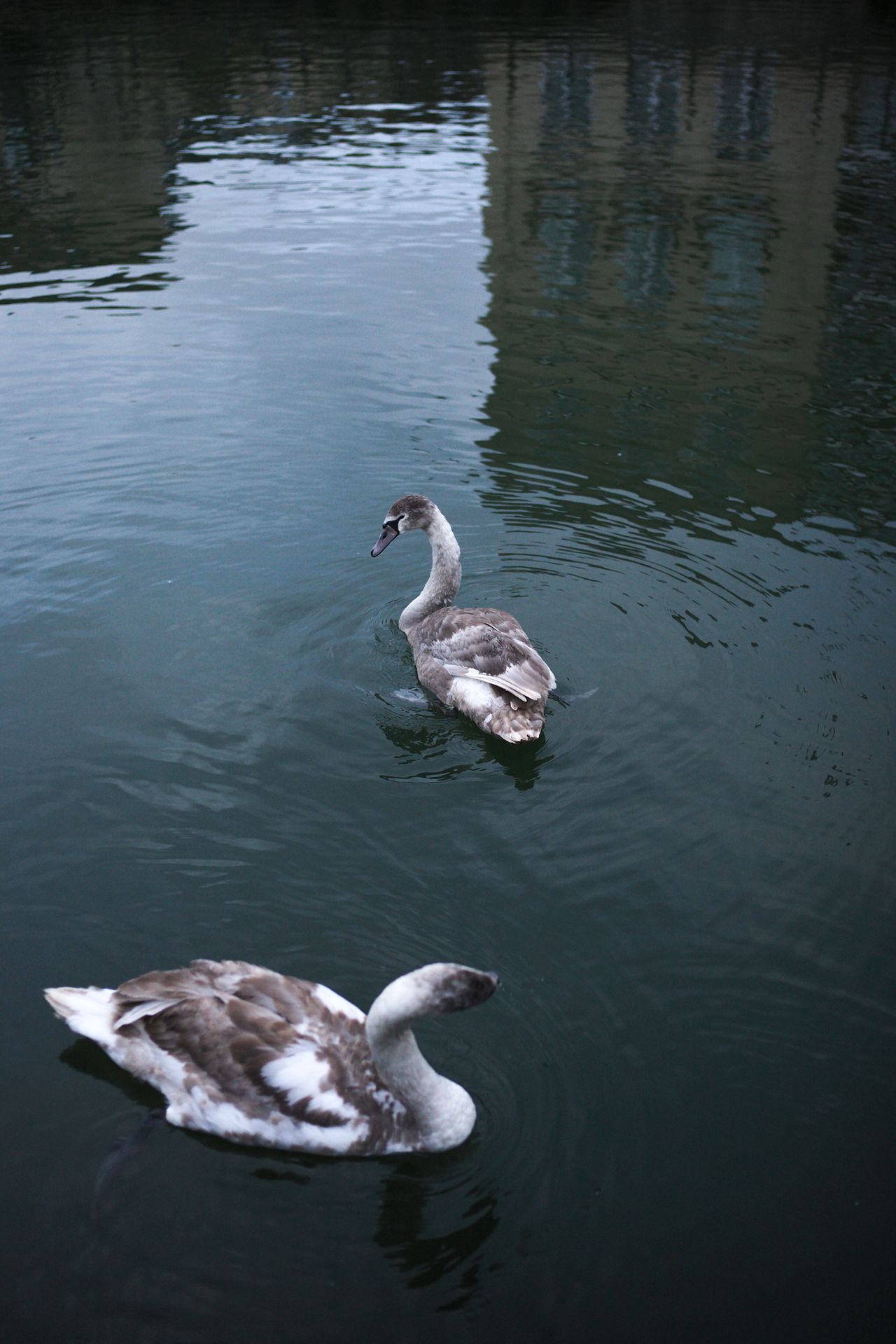 A photo taken on a Leica M EV1 camera
