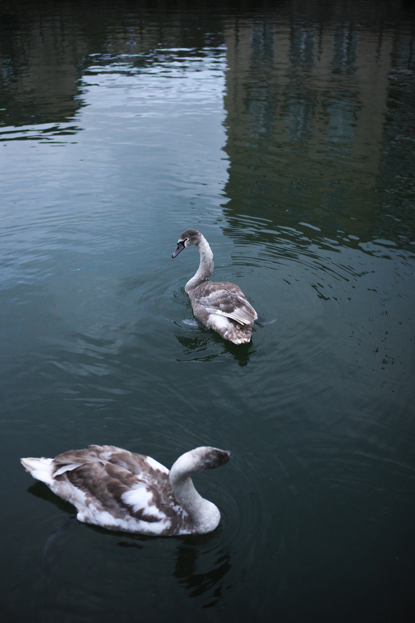 A photo taken on a Leica M EV1 camera