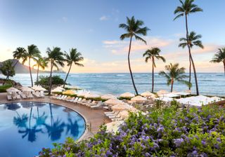 The pool at Halekulani hotel in Oahu with palm trees and ocean views in the background