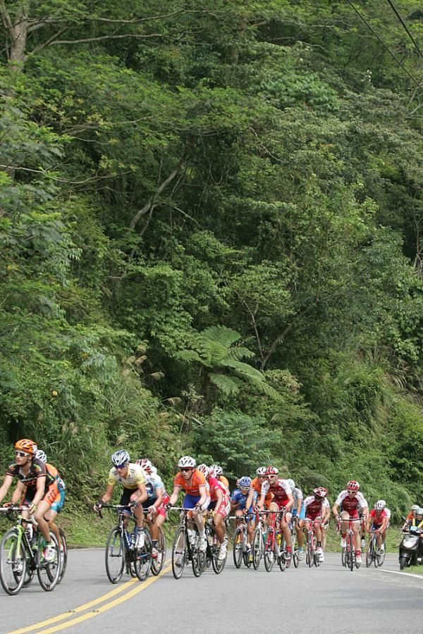 The peloton on stage 5
