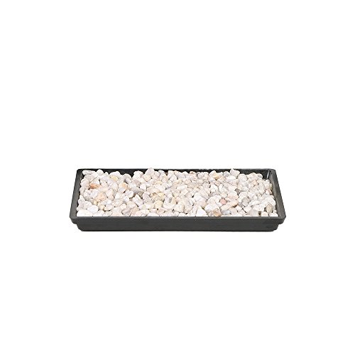 Brussel's 8&amp;quot; Humidity Tray With Decorative Rocks