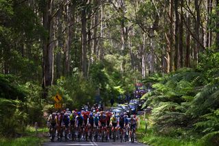 Surf Coast Classic course changed as Otways fire puts parts of original route under prepare to evacuate warnings