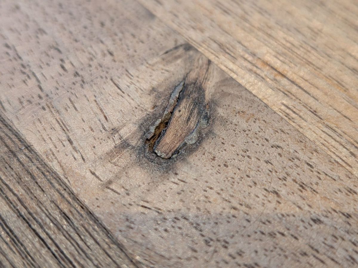 Google Pixel 9a macro sample.