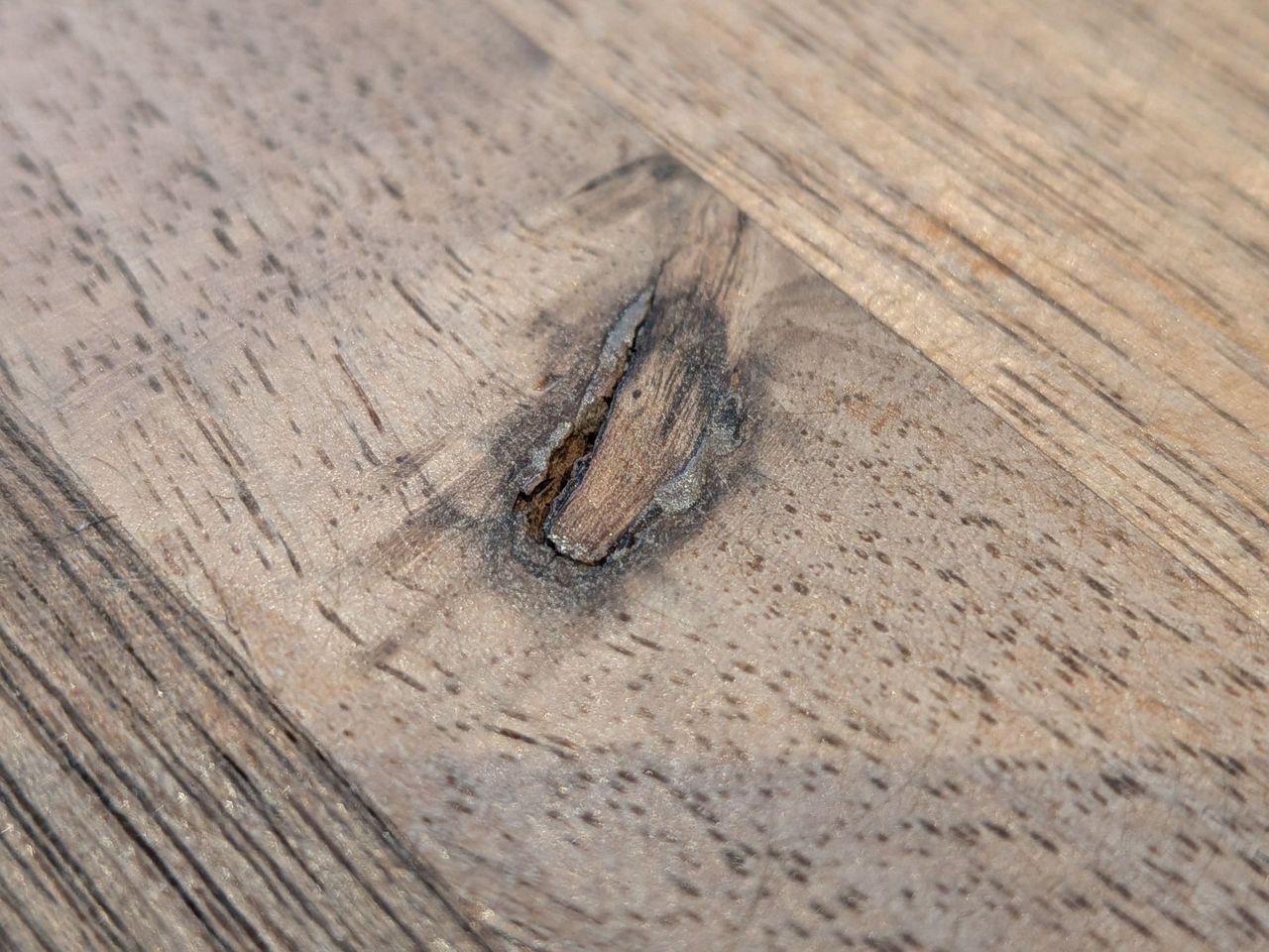 Google Pixel 9a macro sample.