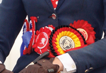 rosette2.jpg