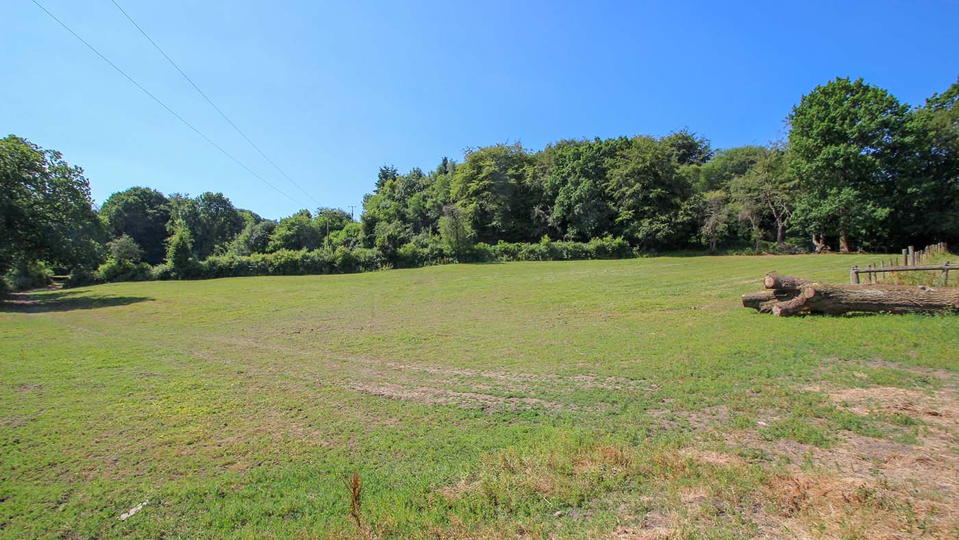 Greenwood Farm - grazing field