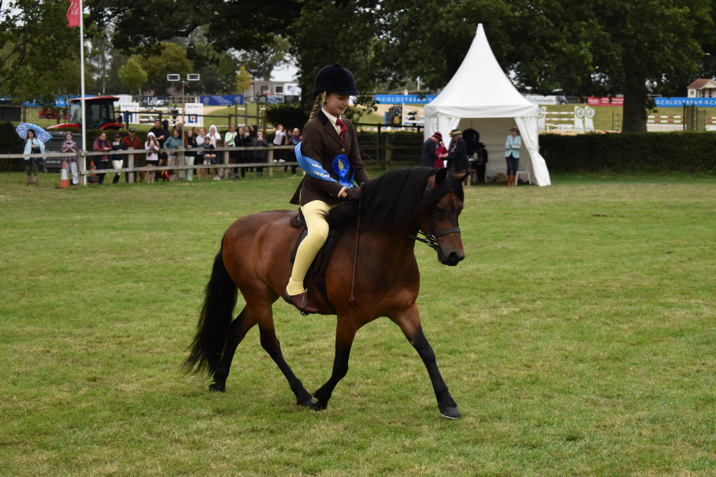 COPPINSHILL COMMEMORATION_ALEX ROBINSON