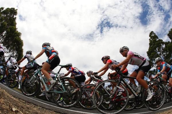 The bunch at the summit of Mount Bunninyong